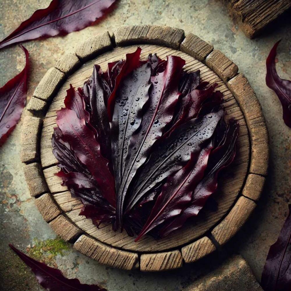 Dulse (Dilisk)