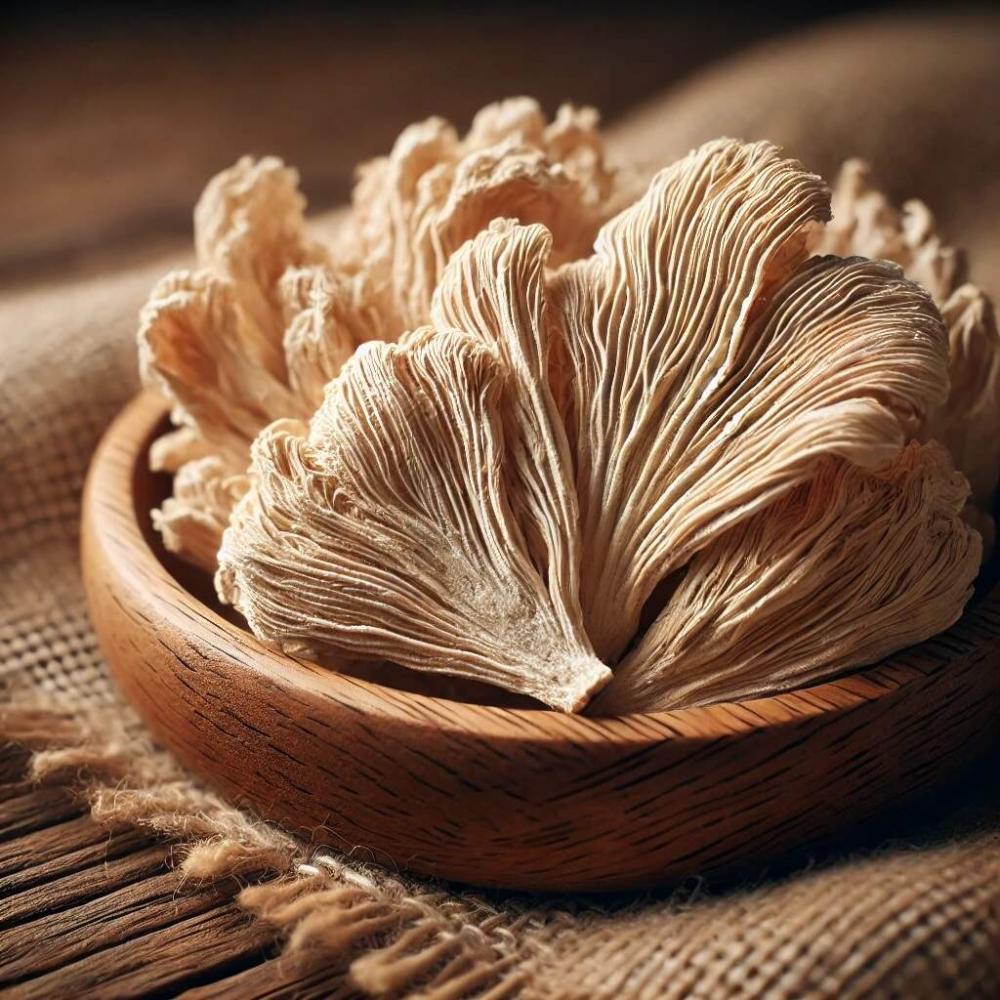 Lion's Mane (Hericium Erinaceus)