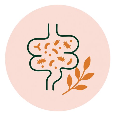 Microbioom