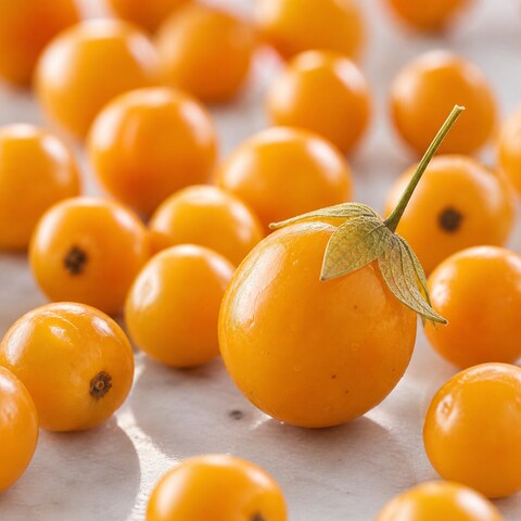 Inca bessen (Golden Berry)