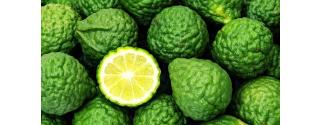 Citrus Bergamot