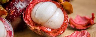 Mangosteen 