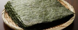 Nori (Porphyra umbilicalis)