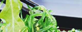 Wakame (Alaria)