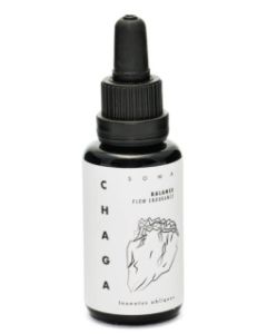 KAAPA Mushrooms Chaga Paddenstoelen Extract Bio 30 ml biologisch