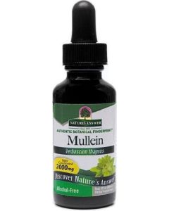 Nature's Answer Koningskaars (Mulein) Extract 30 ml