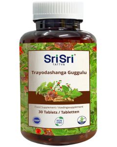 Sri Sri Tattva Trayodashanga Guggulu 30 tabletten