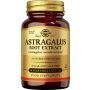 Astragalus Root Extract