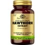 Hawthorn Extract