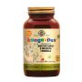 Kangavites™ Tropical Punch