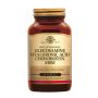 Glucosamine Hyaluronic Acid Chondroitin MSM