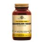 Dandelion Root