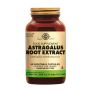 Astragalus Root Extract