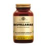 Scutellariae