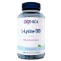 L-Lysine 500