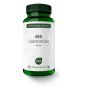 816 Quercetine extract