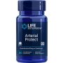 Arterial Protect