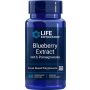 Blueberry Extract with Pomegranate