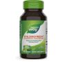 Chlorofresh® Chlorophyll Concentrate  
