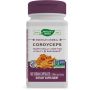 Cordyceps  