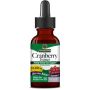 Cranberry Extract