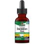 Dandelion Extract