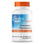 Curcumin Phytosome 500 (Meriva®)