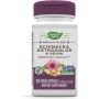Echinacea Astragalus & Reishi  