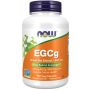 EGCG Green Tea Extract 400 mg