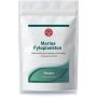 Marine Fytoplankton Poeder