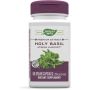Holy Basil  