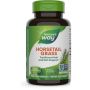 Horsetail Grass  