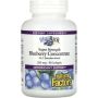 Super Strength Blueberry Concentrate 500