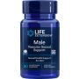 Male Vascular Sexual Support