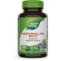 Marshmallow Root