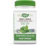 Melissa-Lemon Balm  