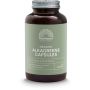 Alkagreens Bio