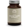 Groene koffiebonen extract 500 mg