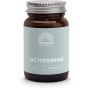 Lactoferrine 95% 300 mg