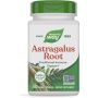 Astragalus Root  