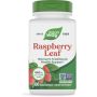Raspberry Leaf  