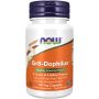 Gr8-Dophilus™ with 8 Strains & 4 Billion Potency