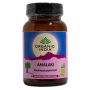 Amalaki (Amla)