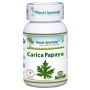 Carica Papaya