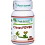Cissus Power