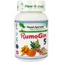 RumoGin 5