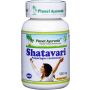 Shatavari