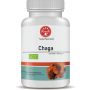 Chaga Superspores© Extract Bio
