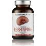 Reishi Sporen Caps