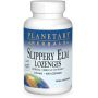 Slippery Elm Zuigtabletten Mandarijn